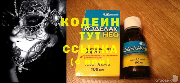 ПСИЛОЦИБИНОВЫЕ ГРИБЫ Инта