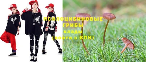 ПСИЛОЦИБИНОВЫЕ ГРИБЫ Инта