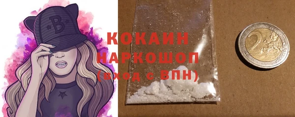 ПСИЛОЦИБИНОВЫЕ ГРИБЫ Инта