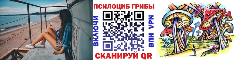 даркнет телеграм  Приозерск  Псилоцибиновые грибы MAGIC MUSHROOMS 